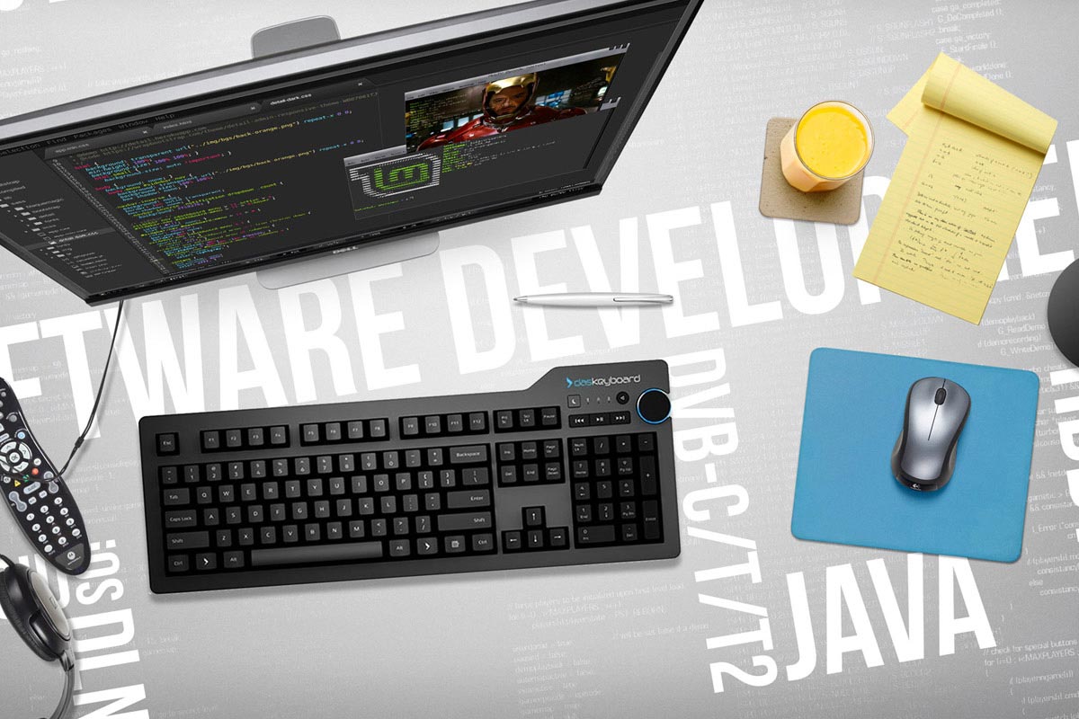 Software Development